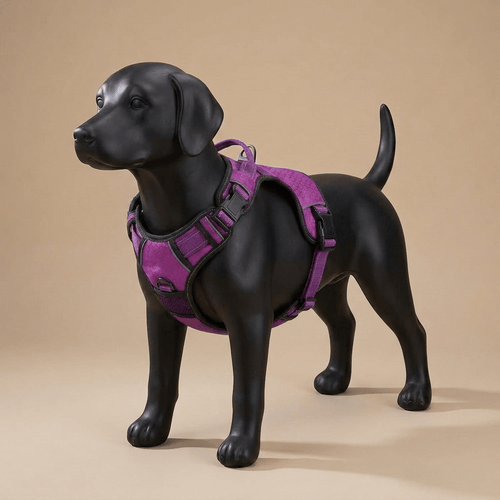 dog_water_bottle - getwoofypawpaw