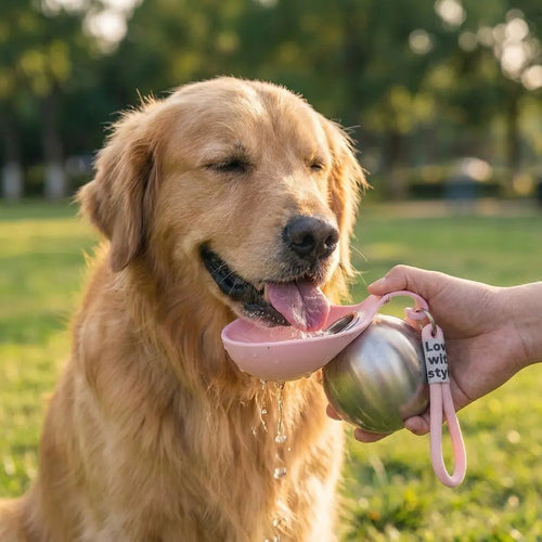 dog_water_bottle - getwoofypawpaw