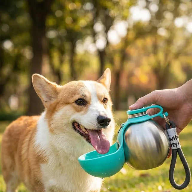 dog_water_bottle - getwoofypawpaw